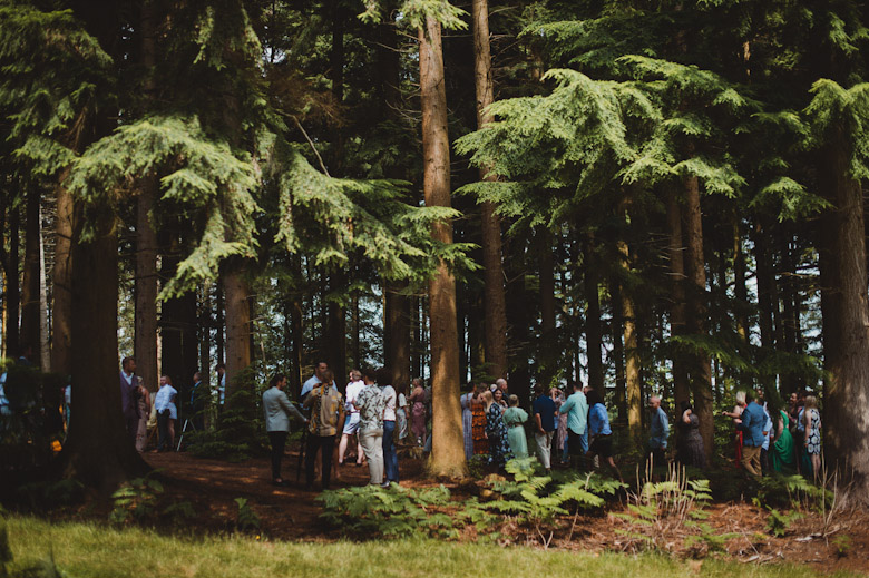 New Forest Wedding in the Woods Photography uk London worldwide