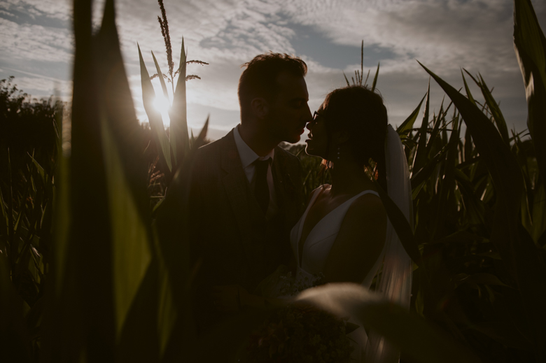 relaxed documentary wedding photographer corn fields couple shoot sunset